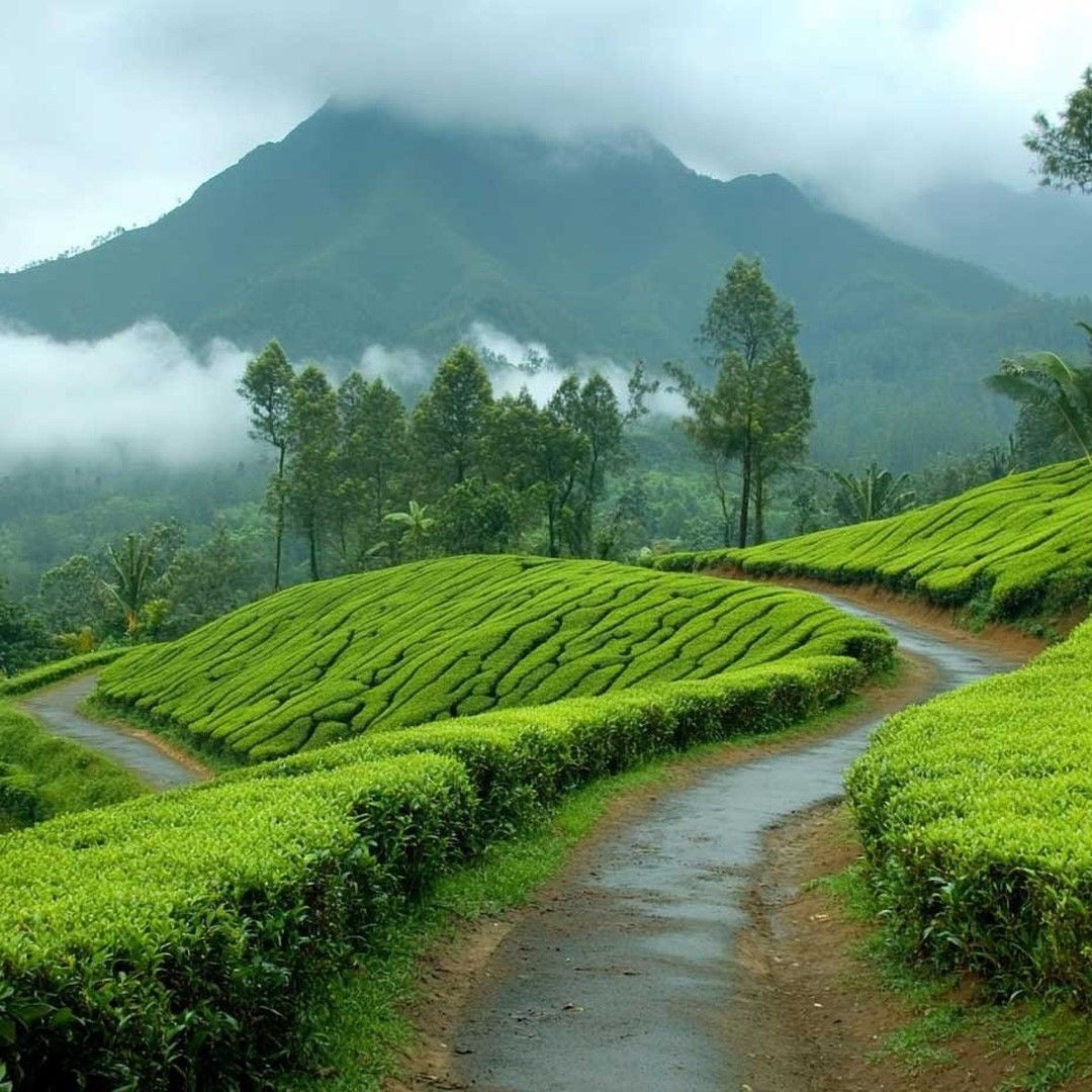 Splendorous South India 3