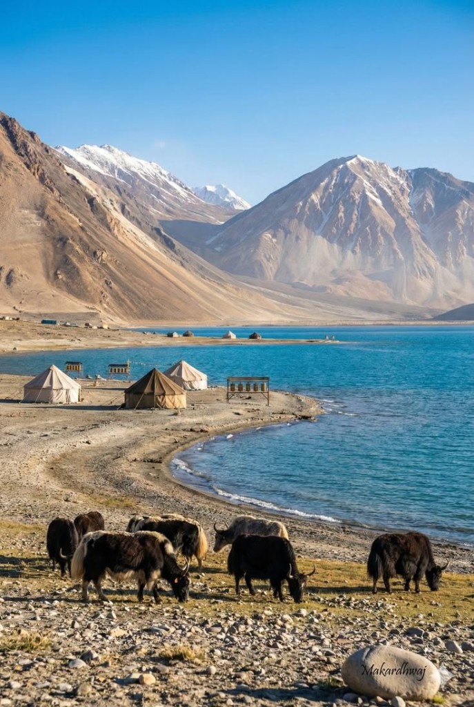 Ladakh 3