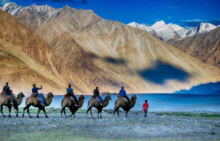 Ladakh 8