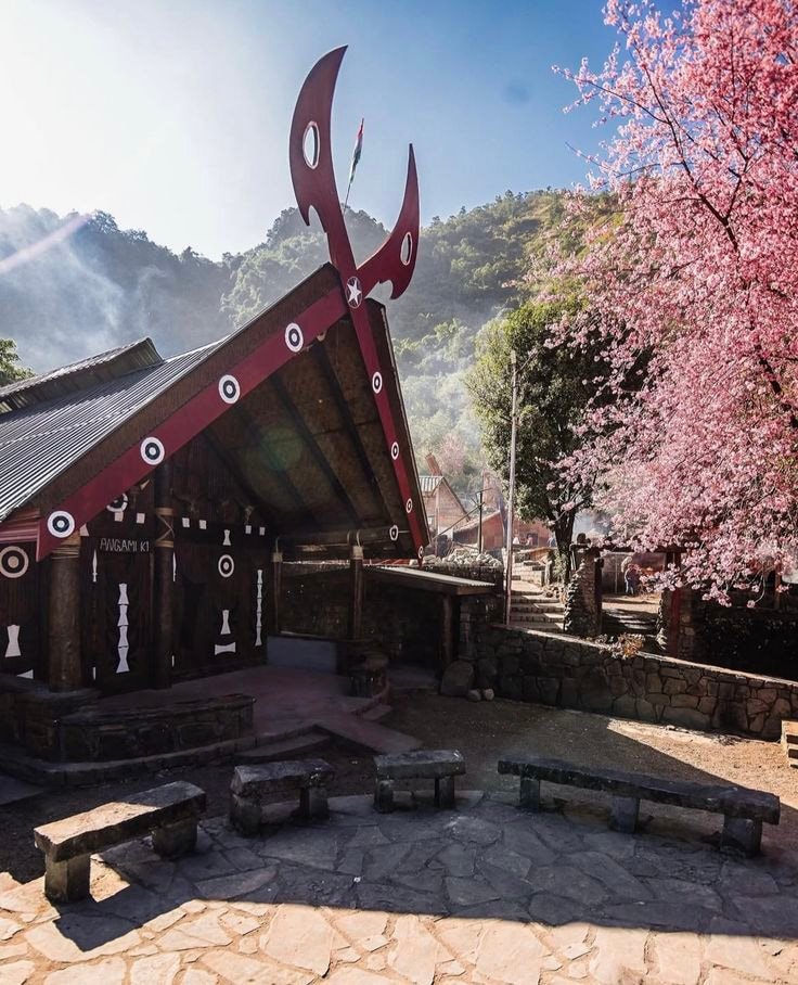 Nagaland 2