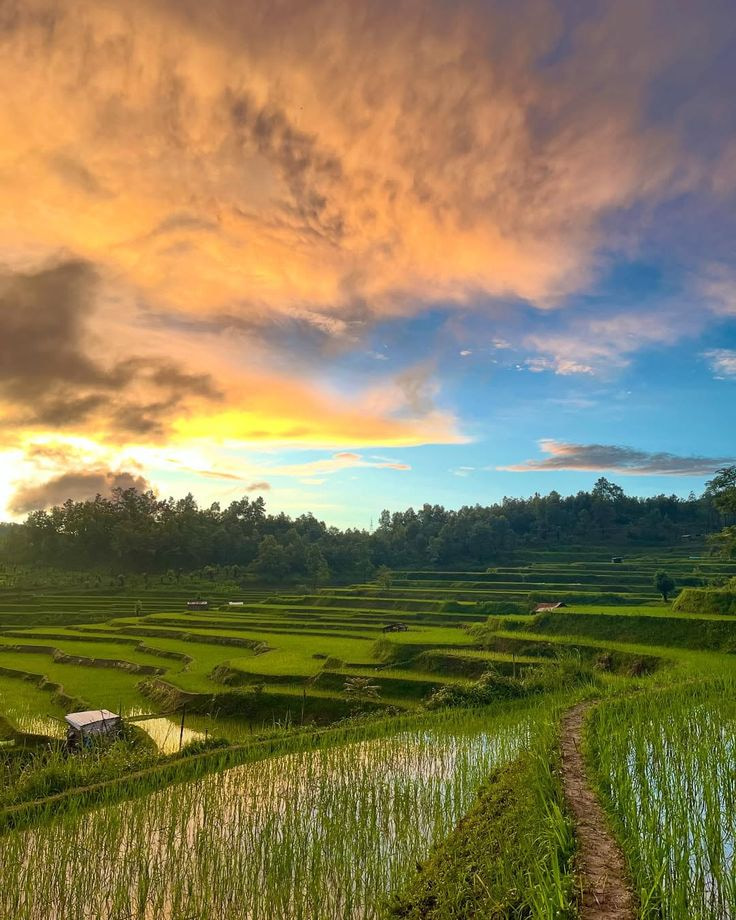 Nagaland 6