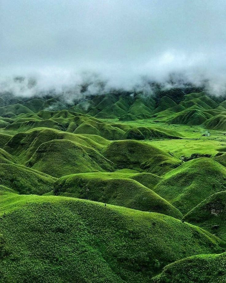 Nagaland 7