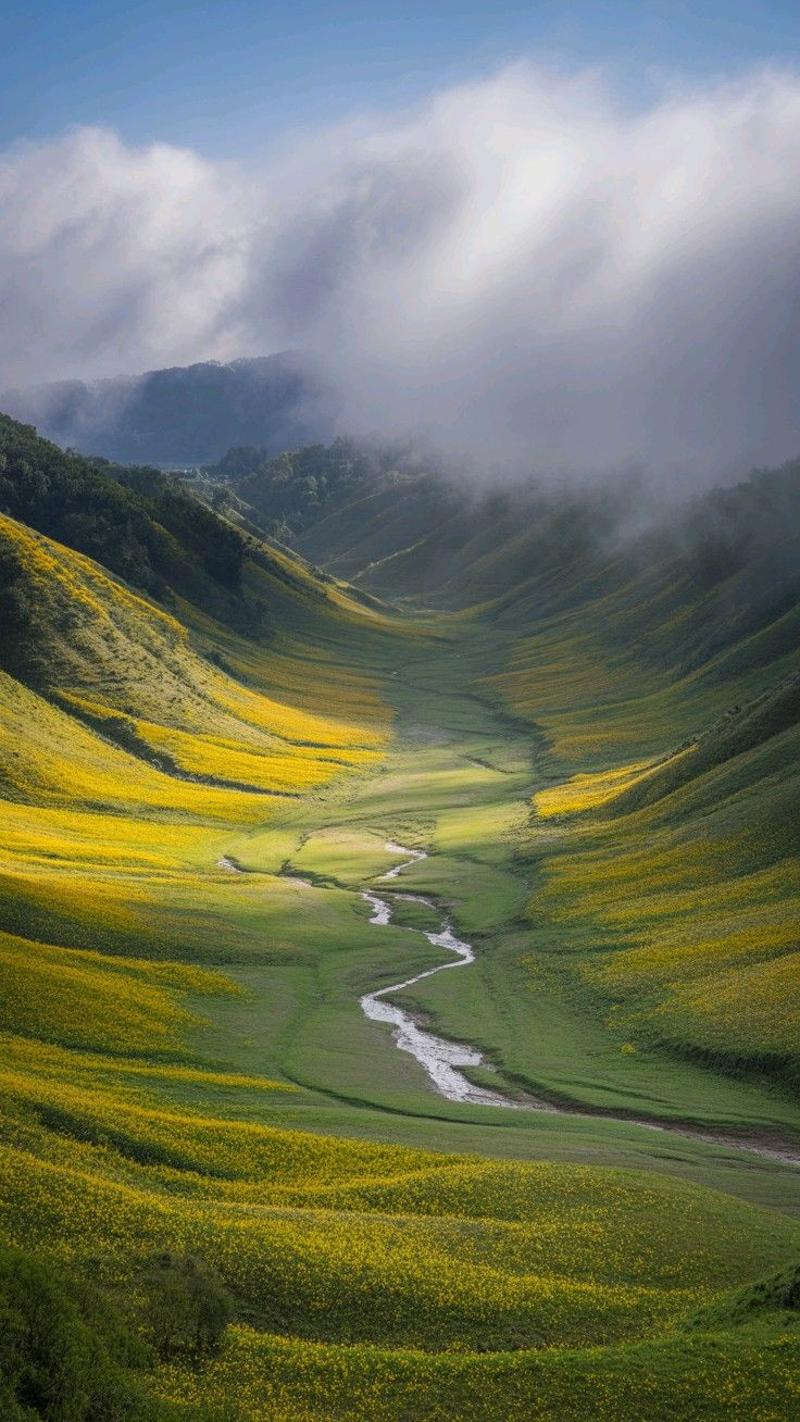 Nagaland 9