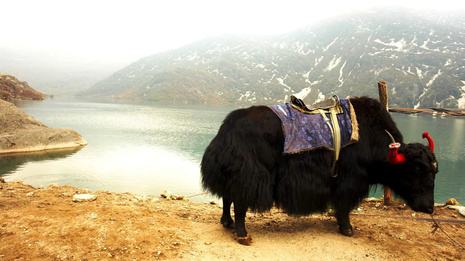 Sikkim 9