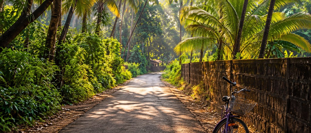 Coastal Cycling & Camping 4