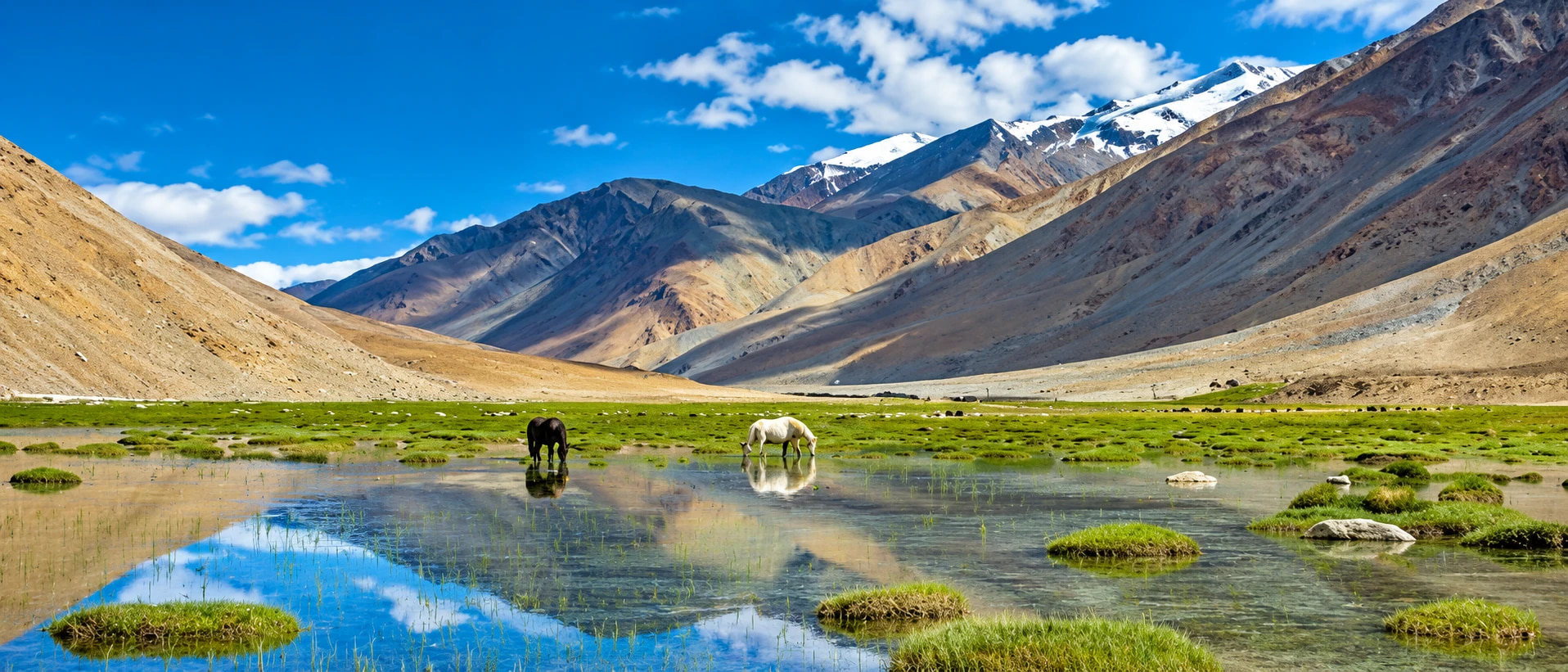 Ladakh 4