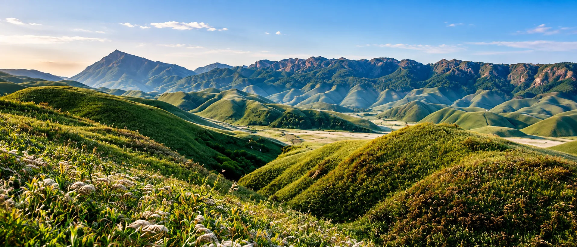 Nagaland 1