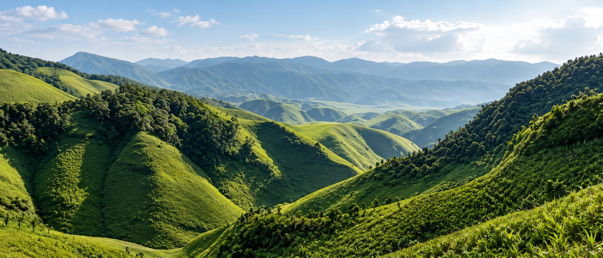 Nagaland 4