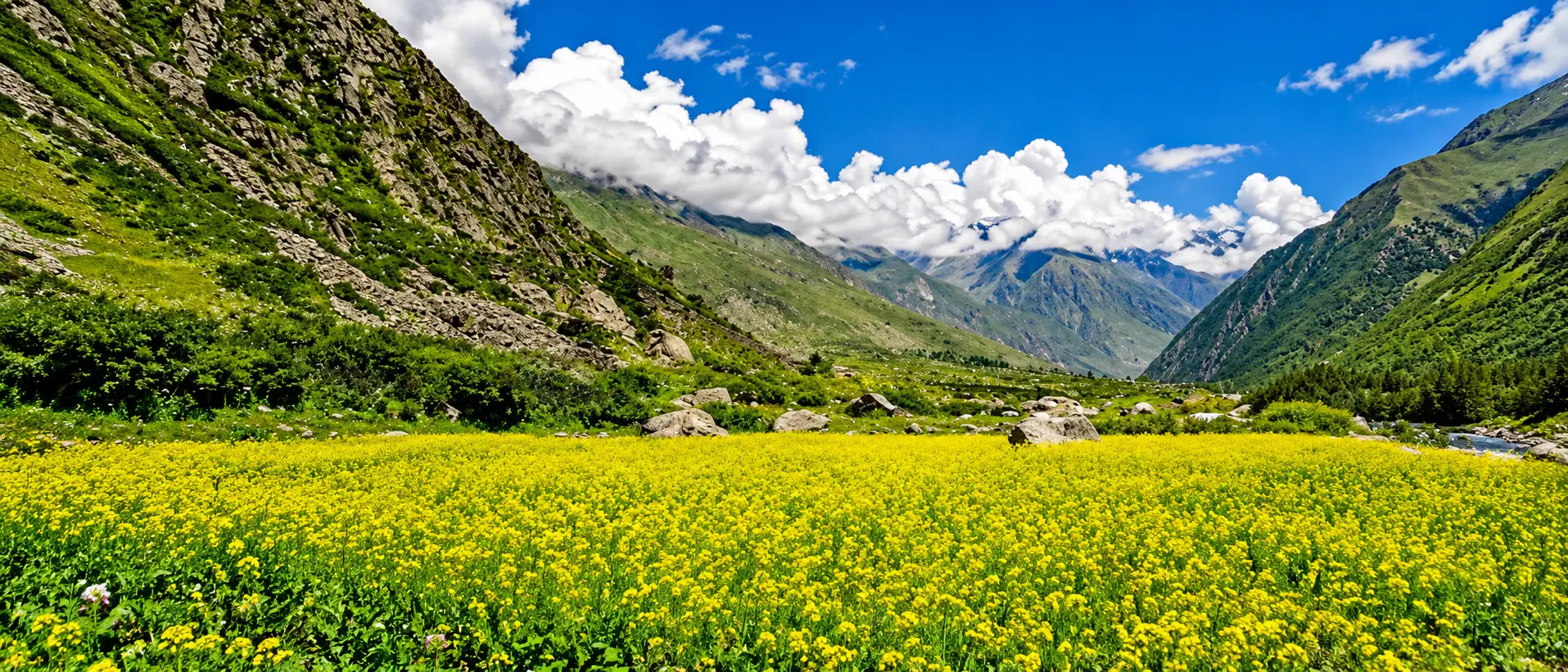 Spiti & Sangla 1