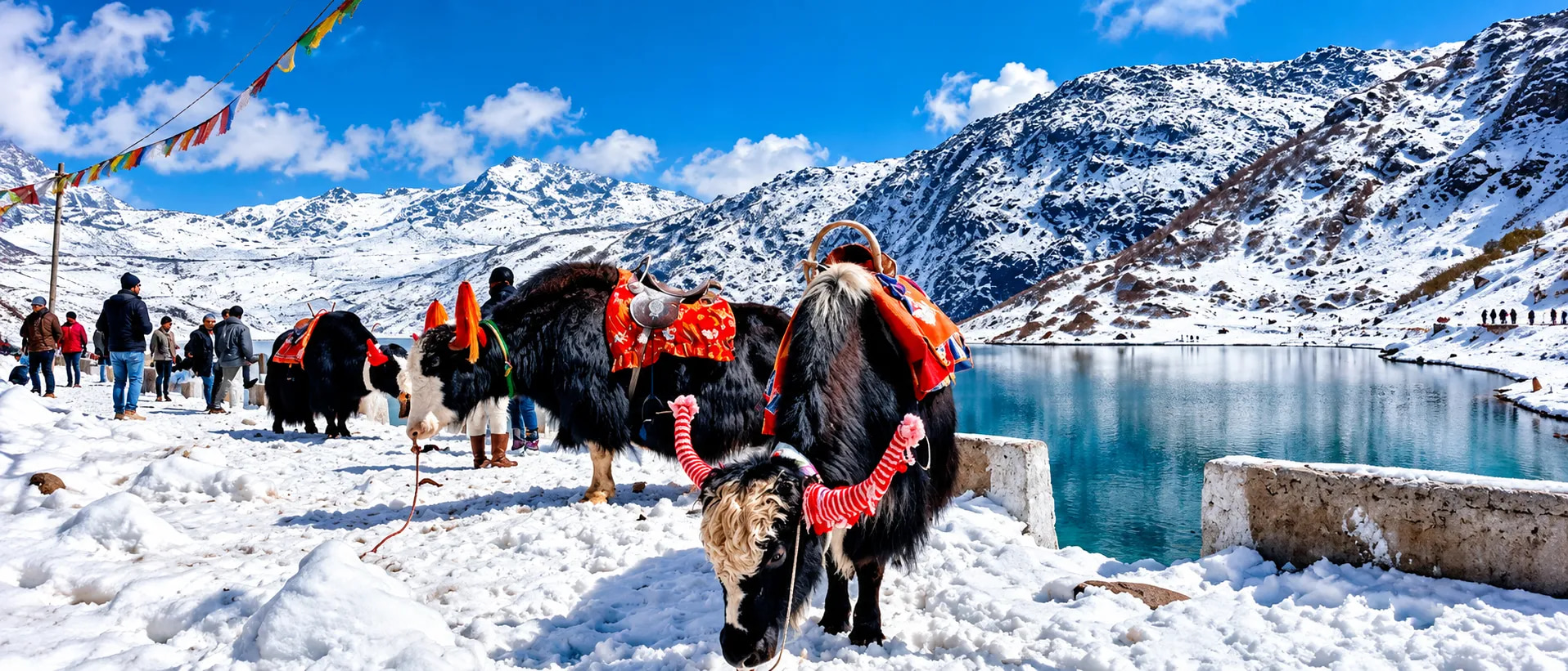Sikkim 5
