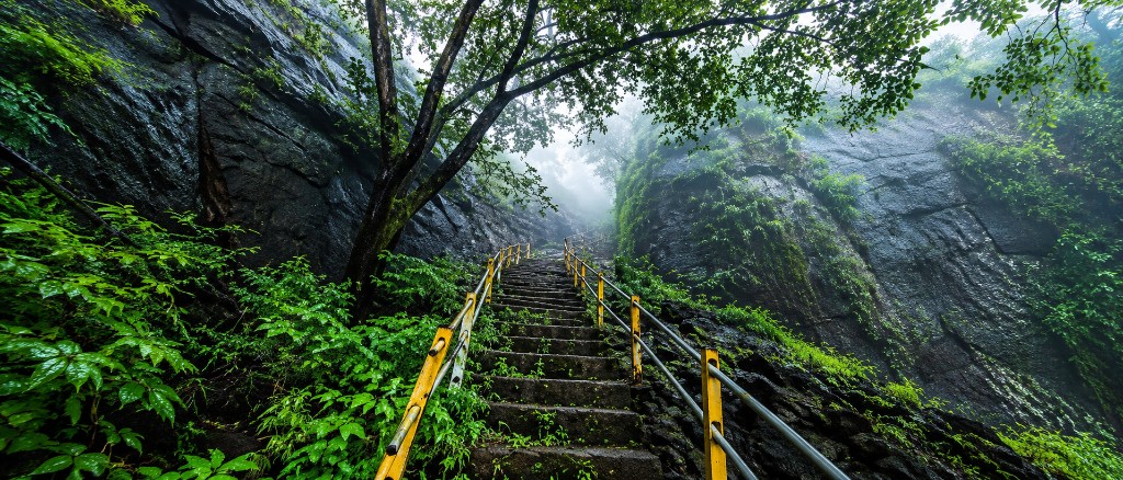 Hike to the Sudhagad Fort 2