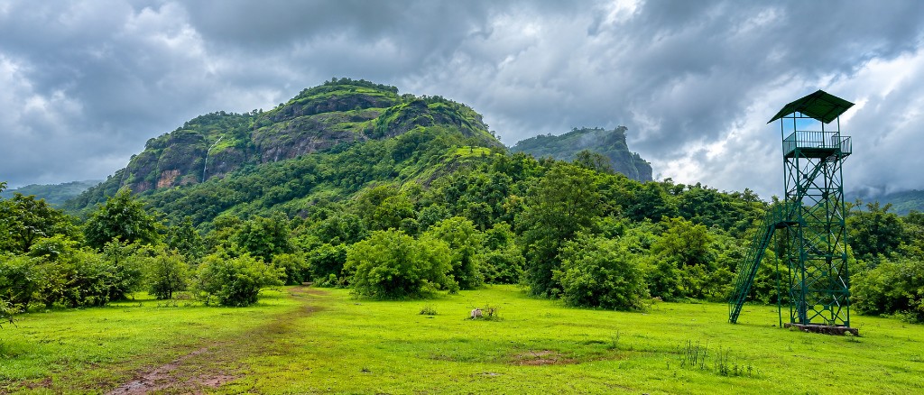 Hike to the Sudhagad Fort 4