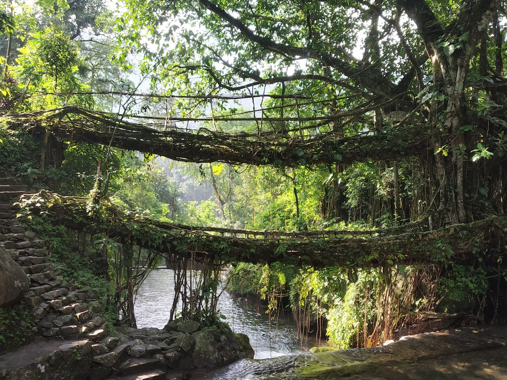 A Drive through Meghalaya 5