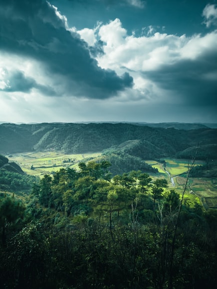 A Drive through Meghalaya 7
