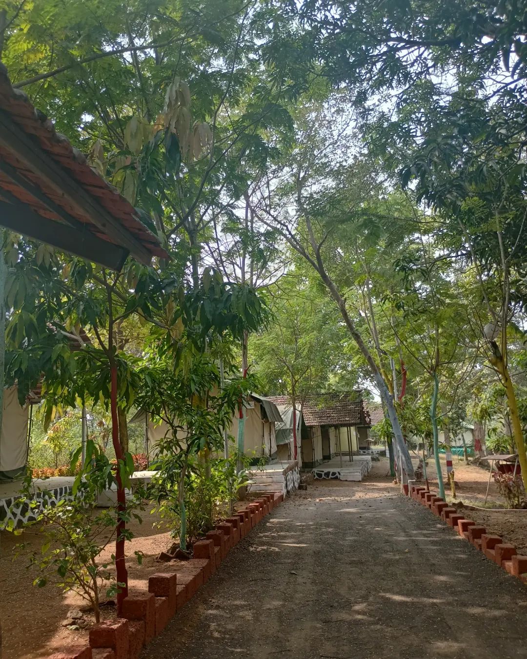 Wilderness Camping At Kondgaon
